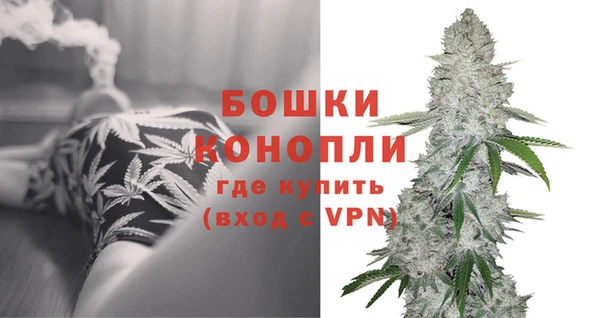 шишки Остров