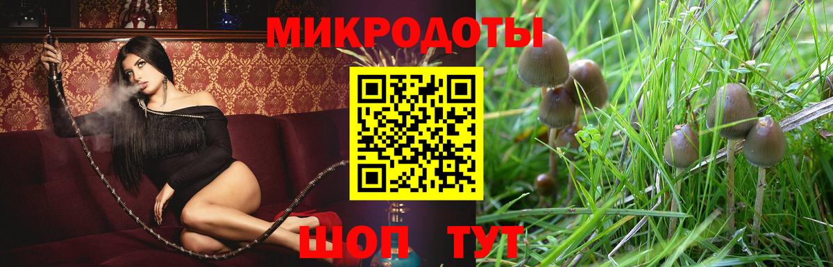 Псилоцибиновые грибы мицелий  хочу наркоту  Галлюциногенные грибы мицелий  Узловая  Вход с VPN 